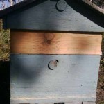 Уход за пчелами в 12- рамочном улье с надставками