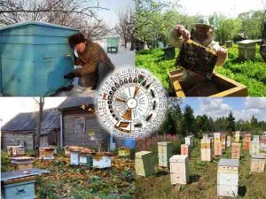Календарь работ пчеловода