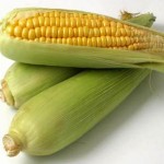 Хранение початков кукурузы