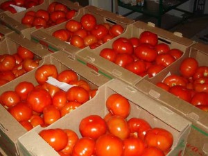 Хранение томатов